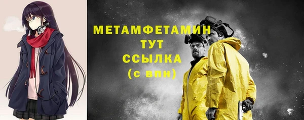 гидра Тайга