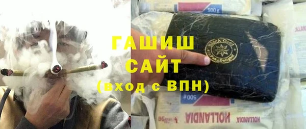 гидра Тайга