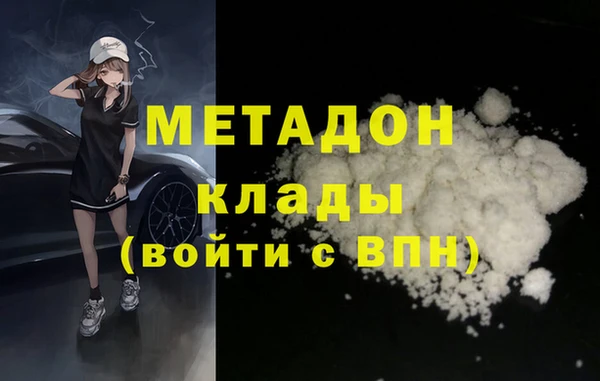 гидра Тайга
