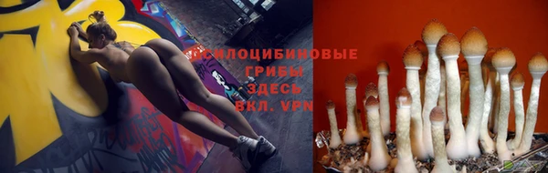 прущий лед Сясьстрой