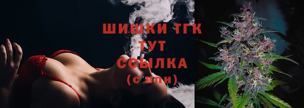 гидра Тайга