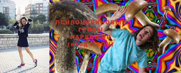 прущий лед Сясьстрой