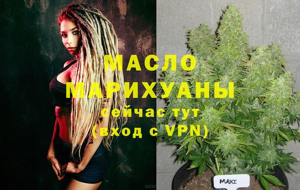гидра Тайга