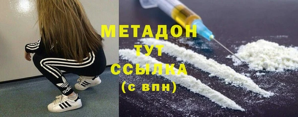 гидра Тайга
