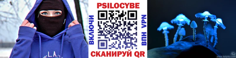 Купить закладки  Алапаевск  Псилоцибиновые грибы мухоморы 