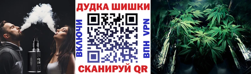 Бошки Шишки ГИДРОПОН  Купить закладки  Алапаевск 